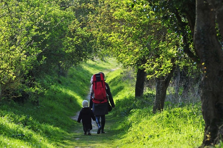 Il parco lineare