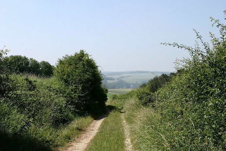 Les monts de Velennes