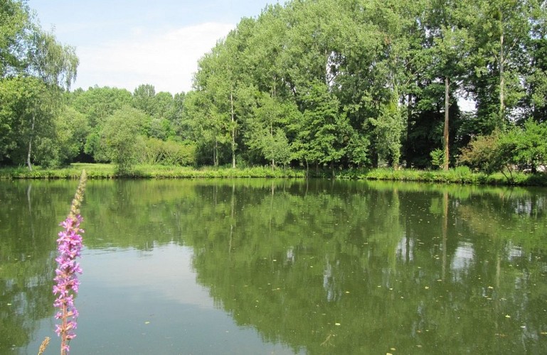 La vallée des Parquets