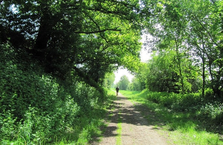 Le Bois de la Faude