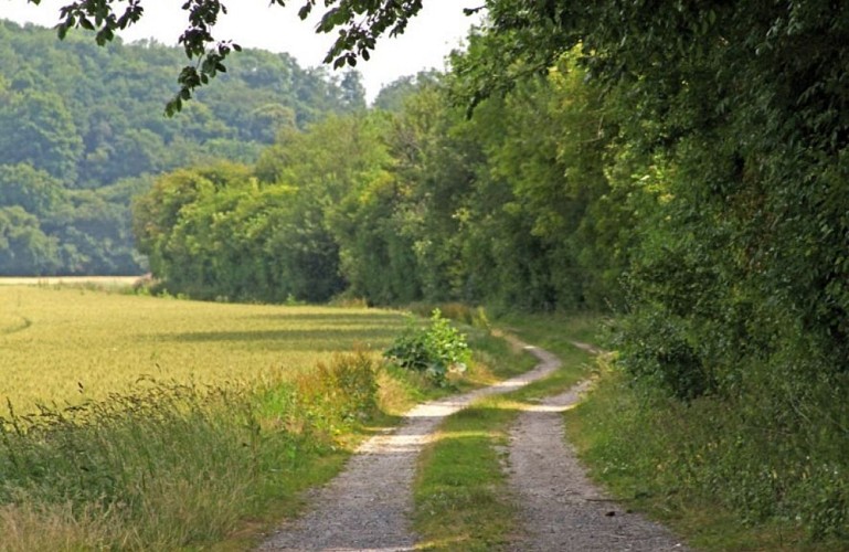 Bois Marières et Vallée Malamain