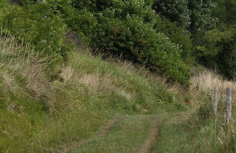 Le passage aux loups