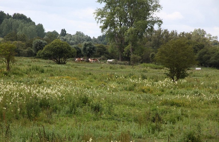 Le passage aux loups