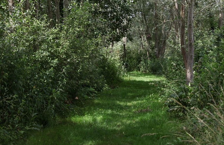 Le passage aux loups