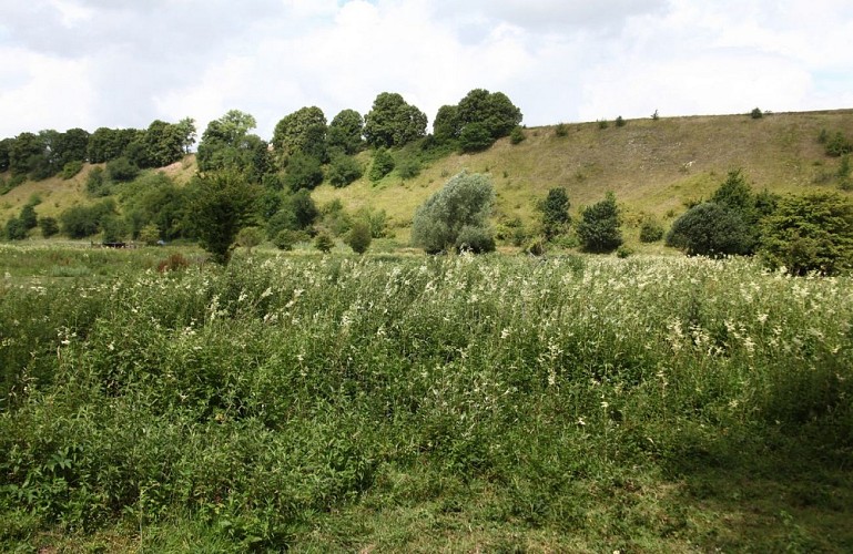 Le passage aux loups