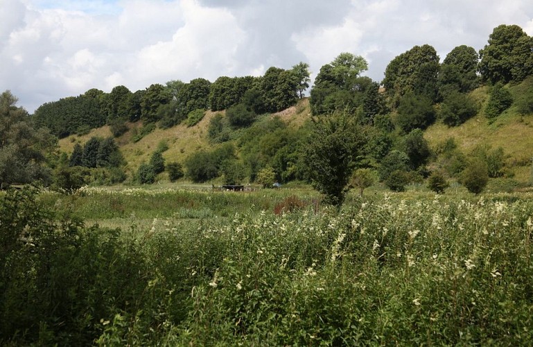 Le passage aux loups