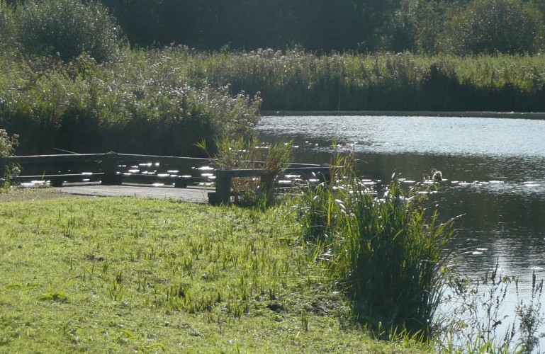 Balade au marais des Cavins