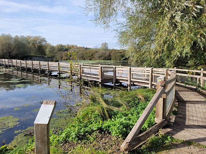 Balade au marais des Cavins