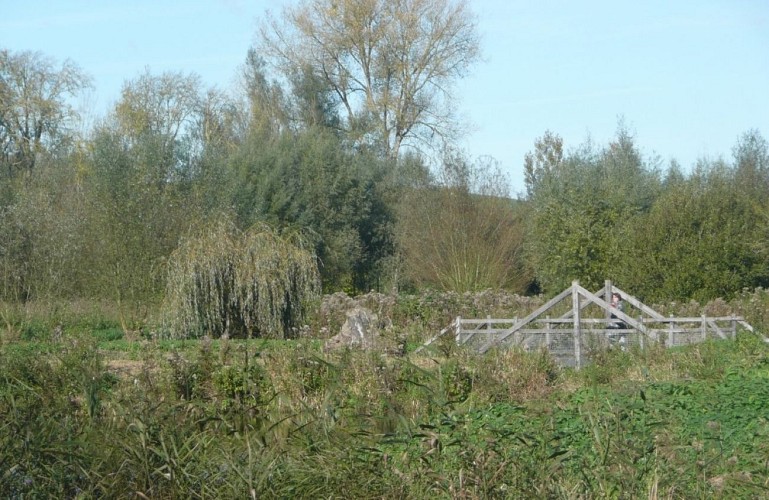 Balade au marais des Cavins