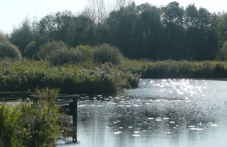 Balade au marais des Cavins