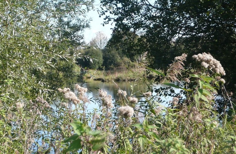 Balade au marais des Cavins