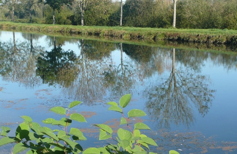 Balade au marais des Cavins