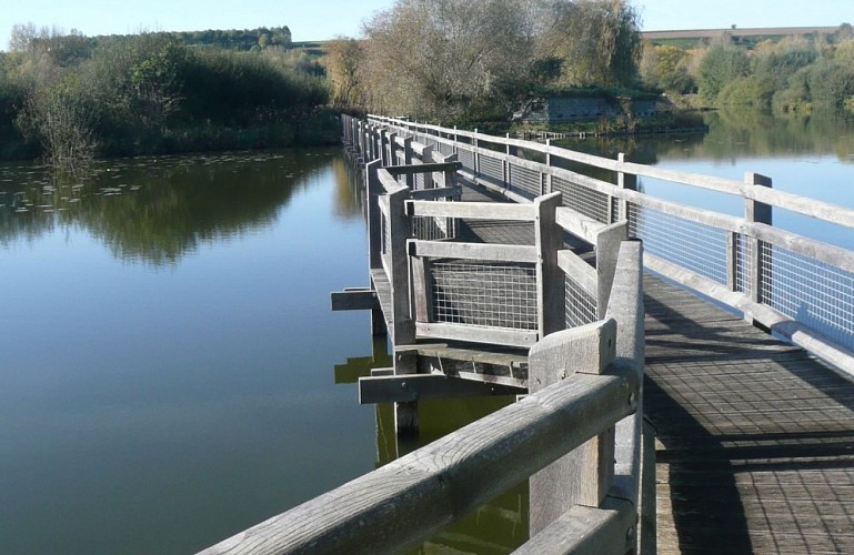 Balade au marais des Cavins