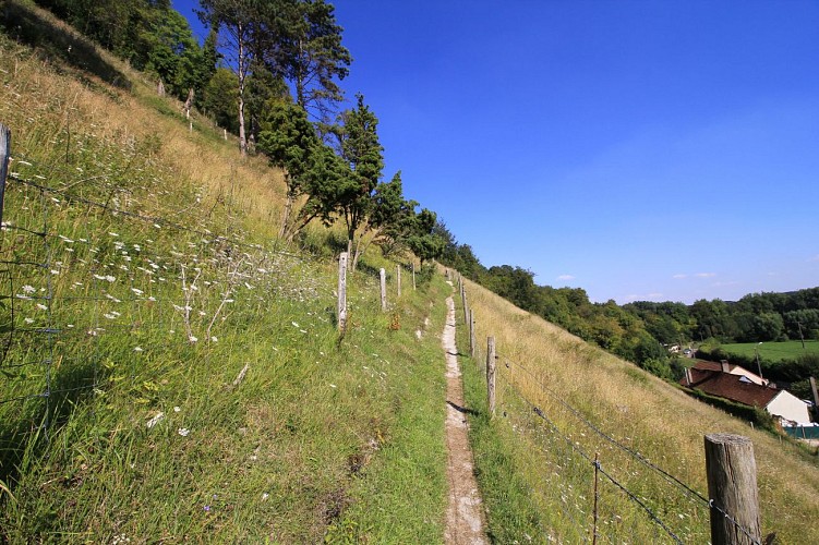 Le larris de Le Quesne et le Mont d'Arguël