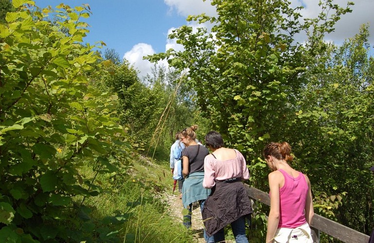 La Montagne de Frise