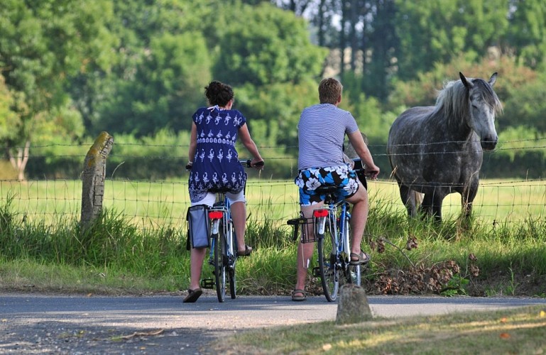 Circuit de la Mésange