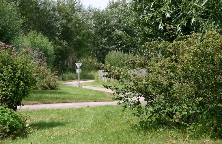 Circuit de l'Avocette