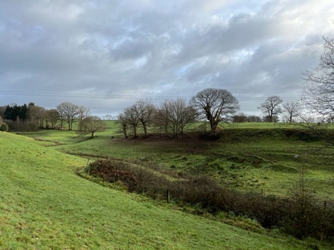 Campagne très vallonnée
