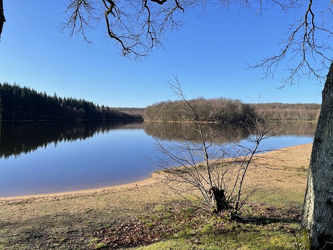 vue de la plage du Merle en hiver