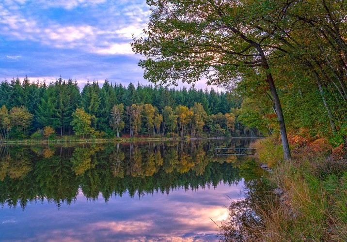 Paysage dans le Morvan