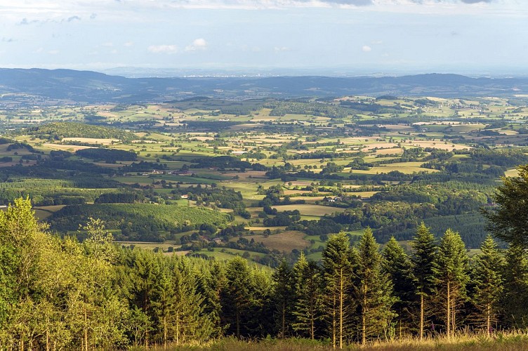 Vue de Bibracte depuis le Mont Beuvray