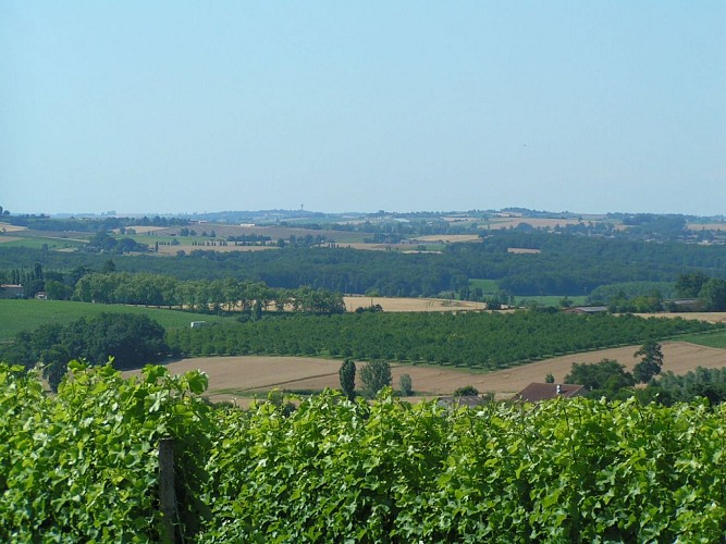 Vue depuis Gazaupouy