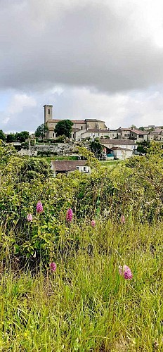 Village de Saint-Puy depuis le moulin de Montfaucon