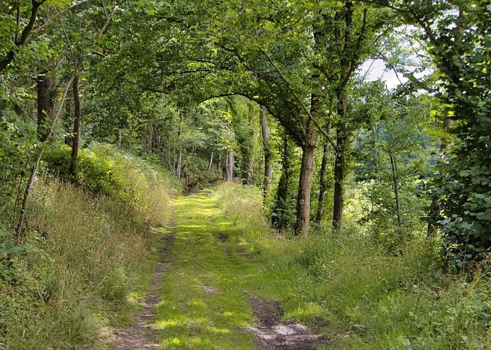 Parcours "rouge" de marche nordique de Frétigny