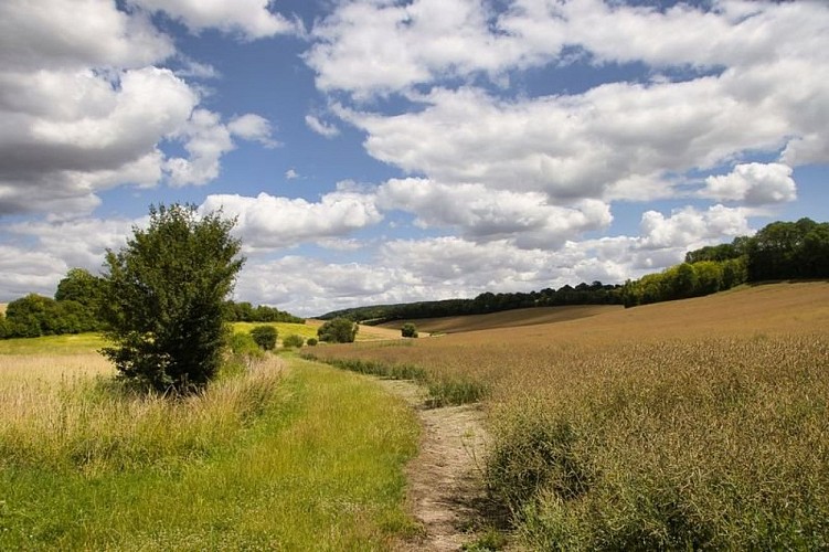 Parcours "rouge" de marche nordique de Frétigny
