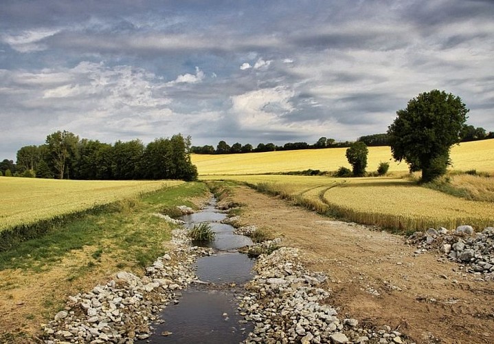 Parcours "rouge" de marche nordique de Frétigny