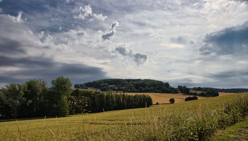 Parcours "rouge" de marche nordique de Frétigny