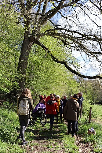 Saint Jean de la Motte CPIE (3)