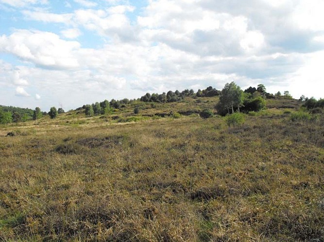 Sentier Entre Puys et Landes