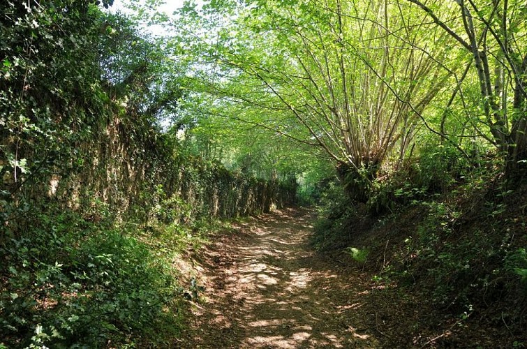 Sentier des forges et des moulins