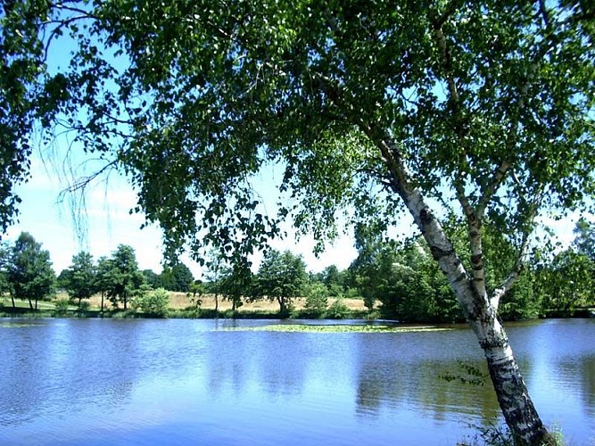 Sentier des forges et des moulins