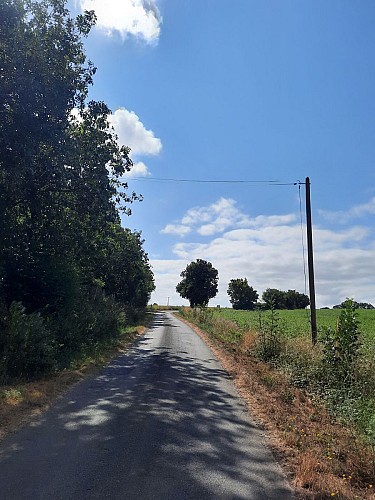 Sentier du Grand Lay - Saint Prouant