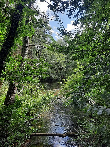 Sentier du Grand Lay - Saint Prouant