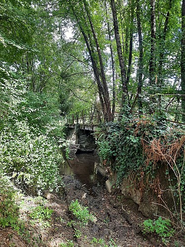 Sentier du Grand Lay - Saint Prouant