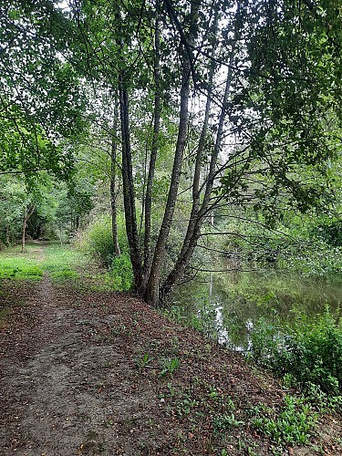 Sentier du Grand Lay - Saint Prouant