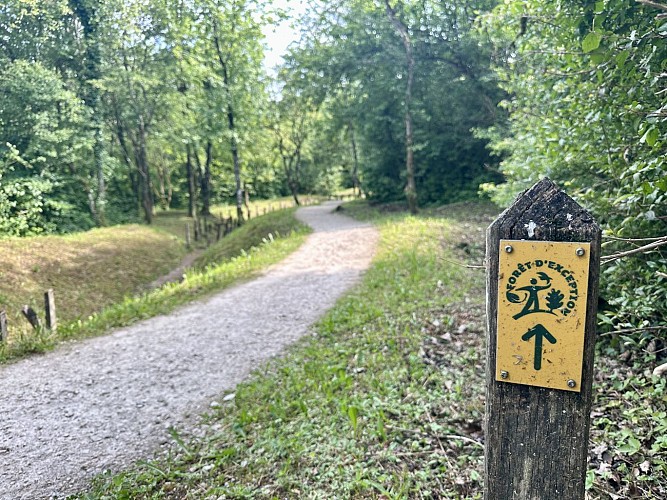 Label "Forêt d'Exception" - Der Pfad von "Douaumont"
