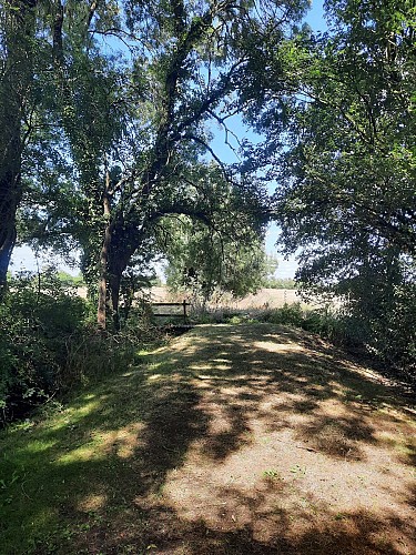 Sentier de Grammont - Saint Prouant