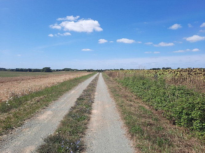 Sentier de Grammont - Saint Prouant