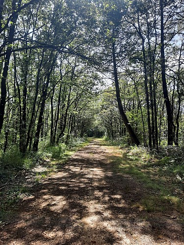 Sentier de Grammont - Saint Prouant