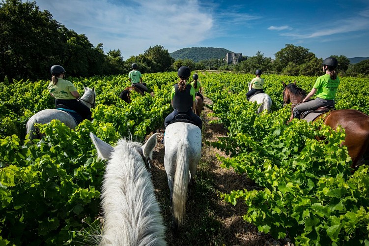 Balade à cheval