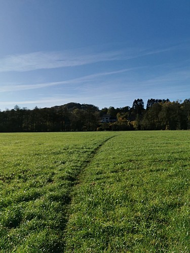 NG08 Promenade Saint-Martin (kurz) - Forrières - Markierung gelbes Kreuz