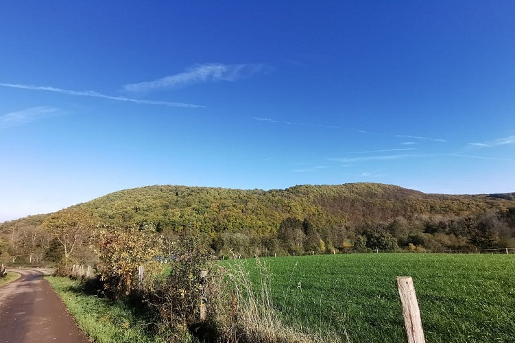 NG08 Promenade Saint-Martin (kurz) - Forrières - Markierung gelbes Kreuz