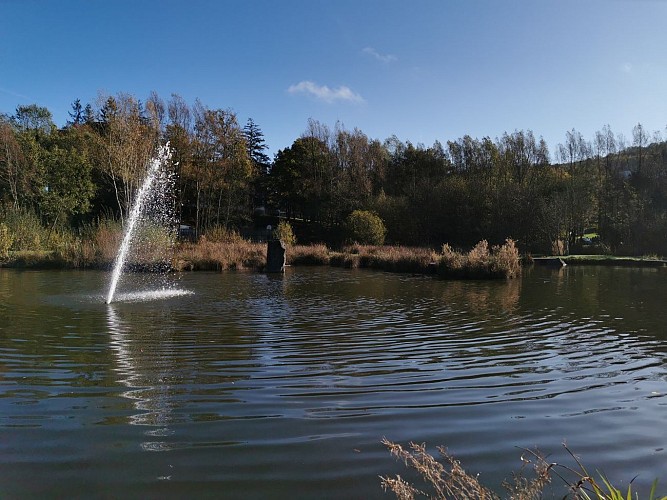 NG08 Promenade Saint-Martin (courte) - Forrières - Balisage croix jaune