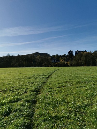 NG08 Promenade Saint-Martin (courte) - Forrières - Balisage croix jaune