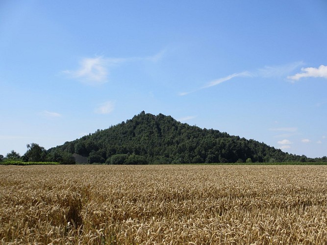 Terril du Hasard - Fléron_ 01-2020