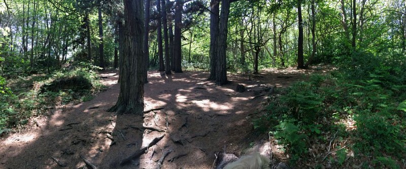 22 Loguivy de la mer - Coz Castel (boucle)